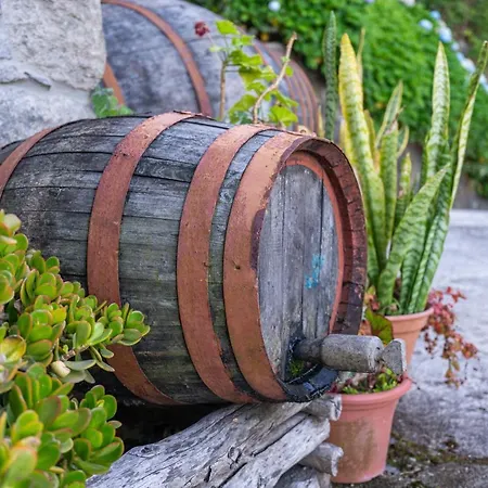 Tatil Evi Fontes 7 Ponta Delgada (Madeira)