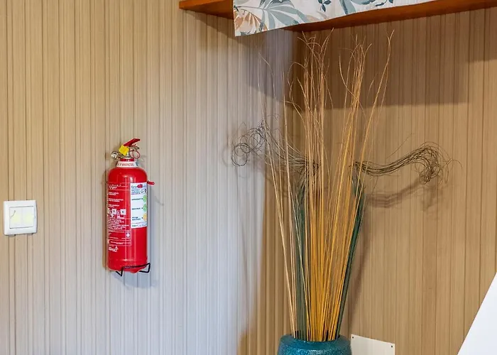 Fontes 7 * Πόντα Ντελγάδα